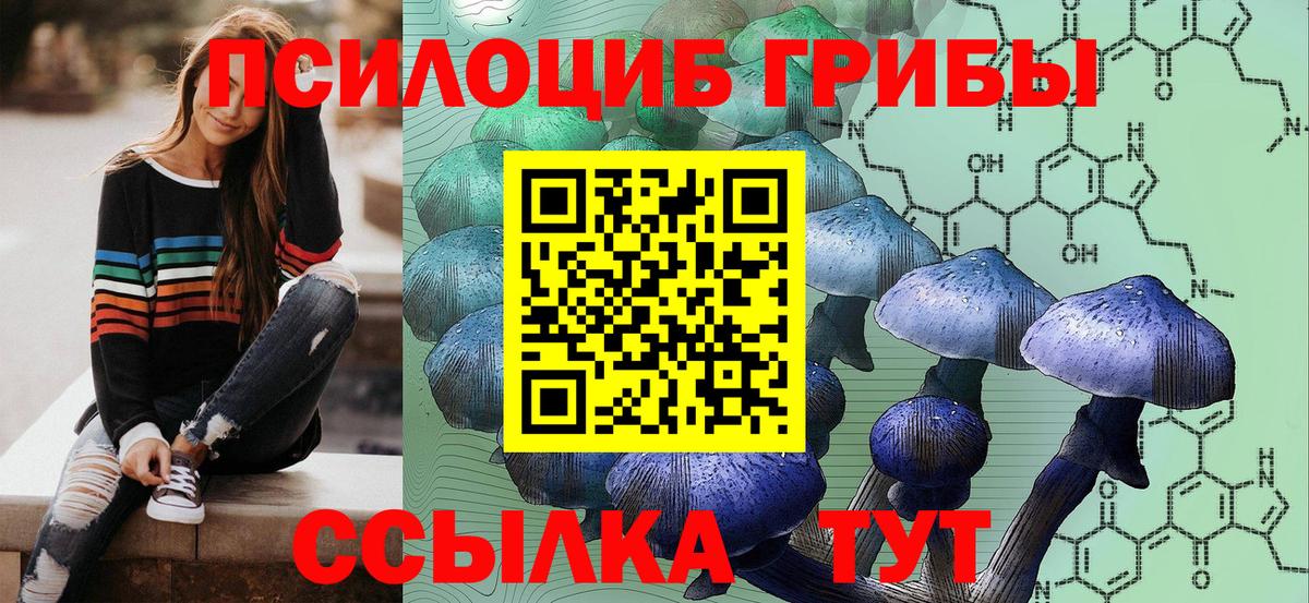 Галлюциногенные грибы мицелий Ессентуки